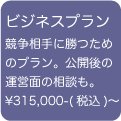 ホームページ制作ビジネスプラン¥315,000-(税込)〜